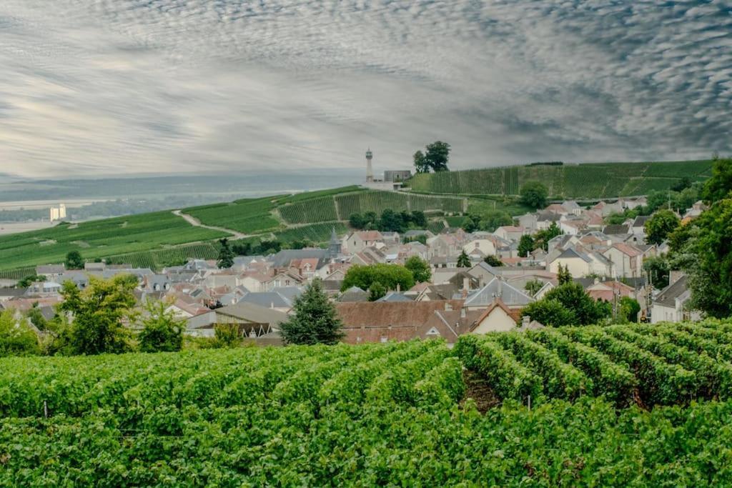 Maison De Champagne F.Barbier ! Avize Екстер'єр фото